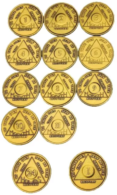 Set of AA Month Medallions Months 1 - 11 1 Year and 24 Hours Sobriety Chips
