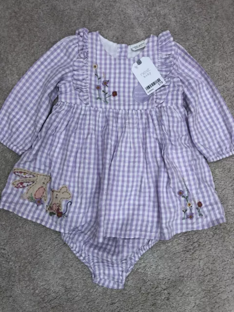 NEW NEXT  Baby Girls Dress Knickers Size 6-9 months 74cm 2 Piece Set Purple