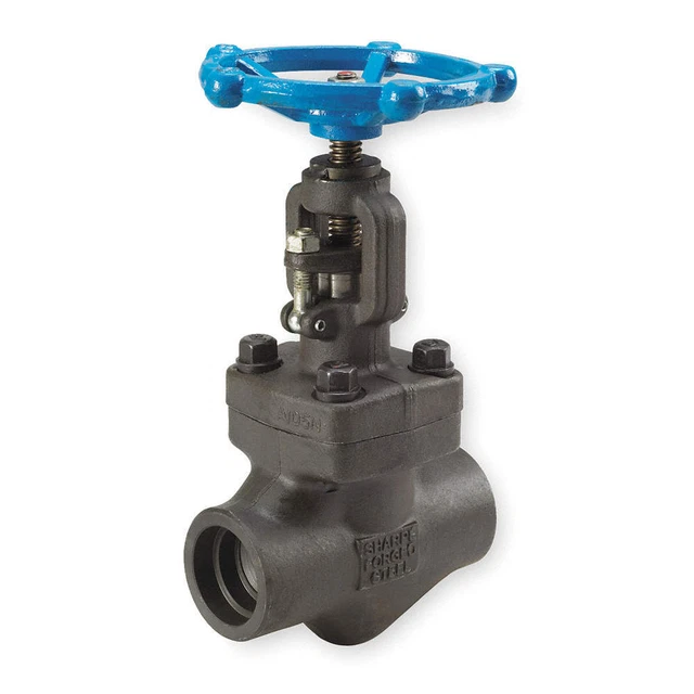 GRAINGER APPROVED 4371006210 Globe Valve,1/2",Steel,Socket,1975 psi