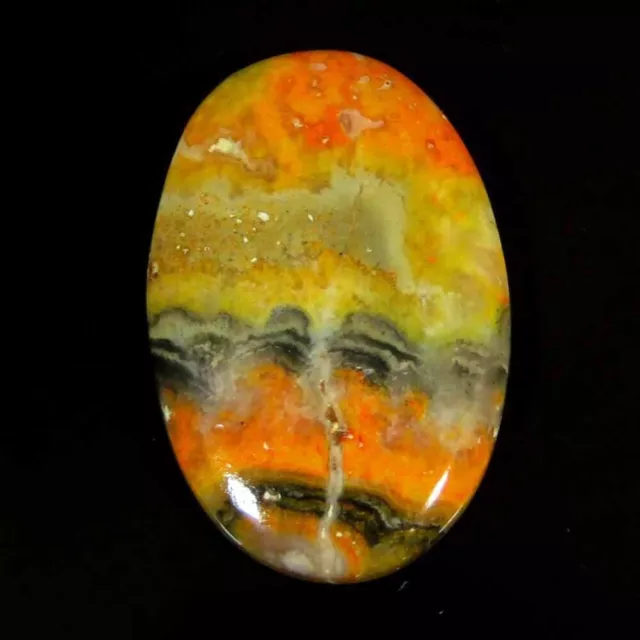 23.30Cts 100%Natural Eclipse Bumble Bee Jasper Oval Cab 20x30x4mm Top Gemstone