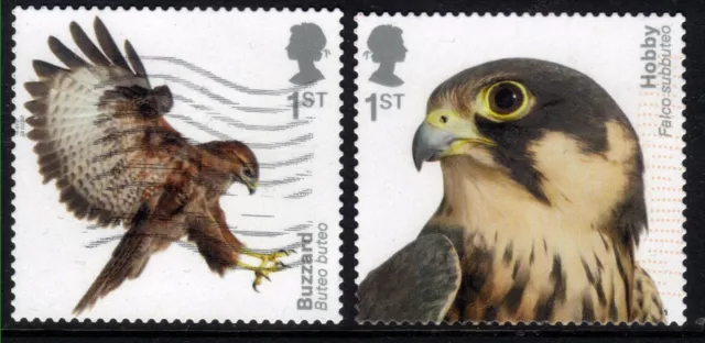 GB 2019 QE2 1st x 2 Birds of Prey Hobby & Buzzard S / A SG 4210 /1 CV £30 ( K243