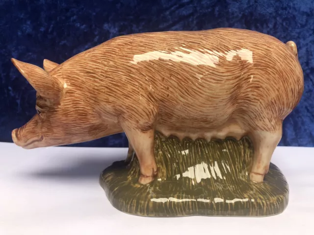 QUAIL Ceramics Animal Figure 'TAMWORTH PIG' Sow 7'' Money Box (Missing Plug) VGC