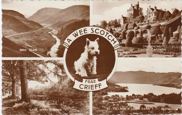 Scotty Dog Multiview, CRIEFF, Perthshire RP