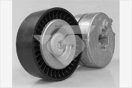 GALET TENDEUR DE COURROIE D ACCESSOIRE HUTCHINSON T0642 Drive Auto Discount