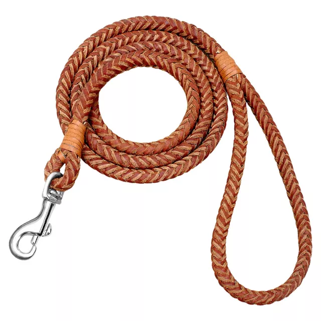 Braided Leather Dog Pet Leash Rope for Small Medium Large Dogs 4ft Walking Lead