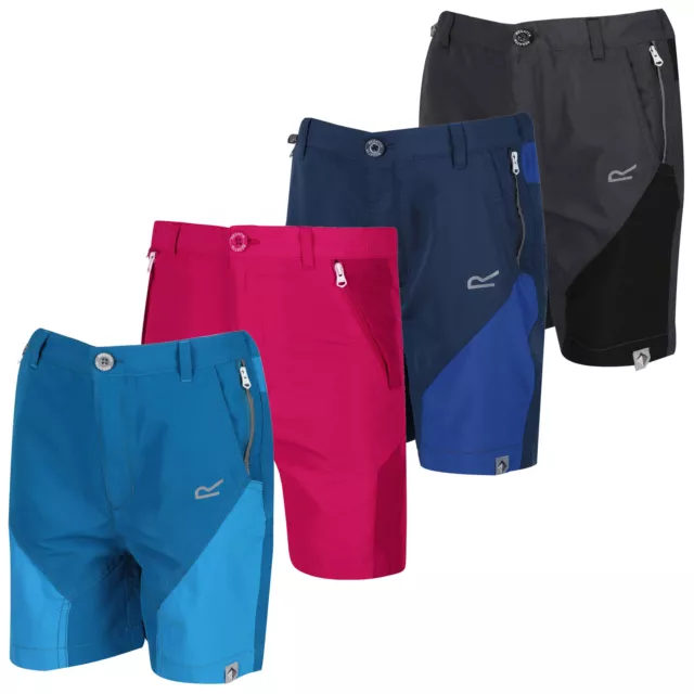 Regatta Kids Sorcer Mountain Shorts