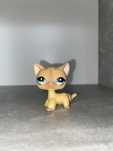 Littlest Pet Shop LPS shorthair cat #886