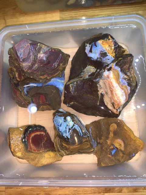 QUEENSLAND BOULDER OPAL ROUGH PARCEL 1.112 Kg Grams 5 Pieces. BO442