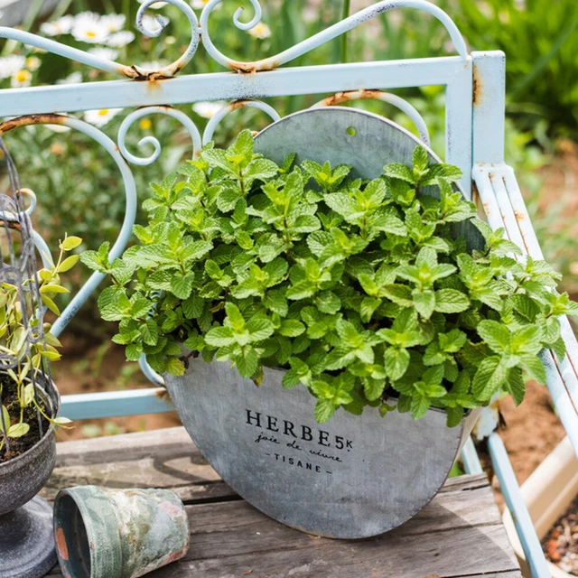 Jardinière Murale En Bois Suspendue – Support Plantes Fleurs Artificielles, Style Rustique