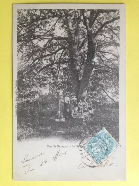 cpa Rare FRANCE 95 - PARC de BUZAGNY Val d'Oise ARBRE TREE Le Gros Chêne Animés