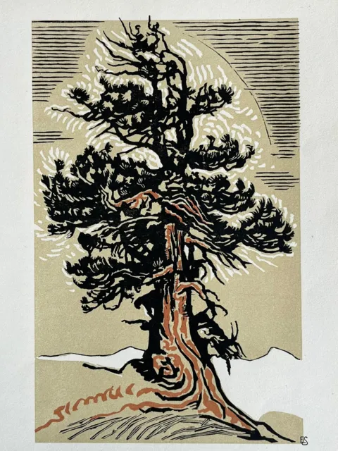 François Louis Schmied Gravure sur bois woodcut Arbre Cèdre Du Liban Art Deco