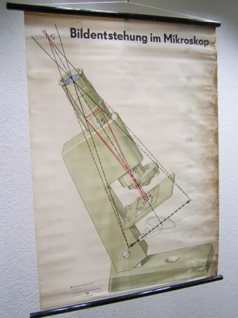 Alte Lehrtafel Wandkarte Rollkarte DEKO Bildentstehung im Mikroskop