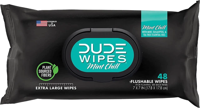 DUDE Wipes Flushable Wipes - 1 Pack, 48 Wipes - Mint Chill Extra-Large Wet Wipes