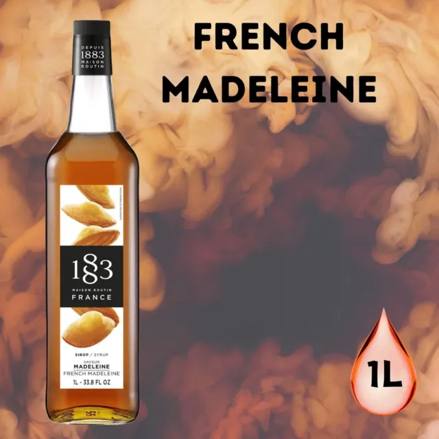 1883 MAISON ROUTIN Premium French Madeleine 1Ltr Syrup Pack of 4 $48.15 ...
