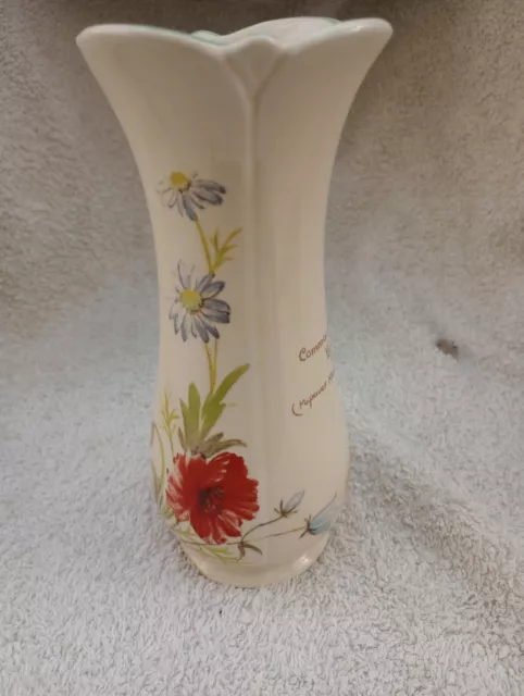 Beautiful Country Diary Collection Royal Winton Common Poppy Vase