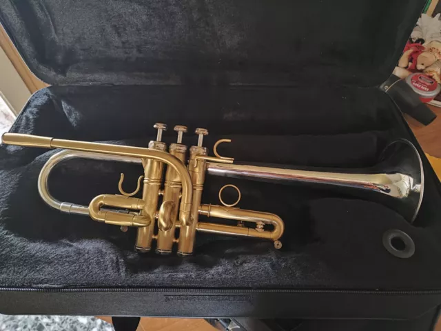 tromba Mib/re berkeley Eb/D trumpet