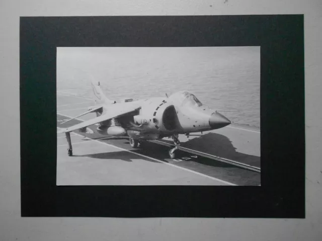 Vintage Naval Aircraft Print-Sea Harrier Prepares For Take Off From Ark Royal