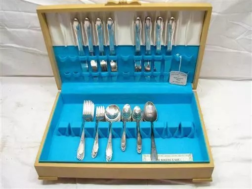 50pc Set Wm Rogers & Sons Silver Plate Flatware Gardenia Silverplate w/Box