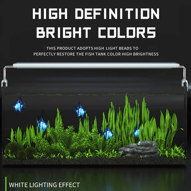 Illuminazione A LED Per Acquario Di Barriera Orphek Natura ICon Sun & Moon Sync - Lancio Di Un Nuovo Prodotto - Foto 4