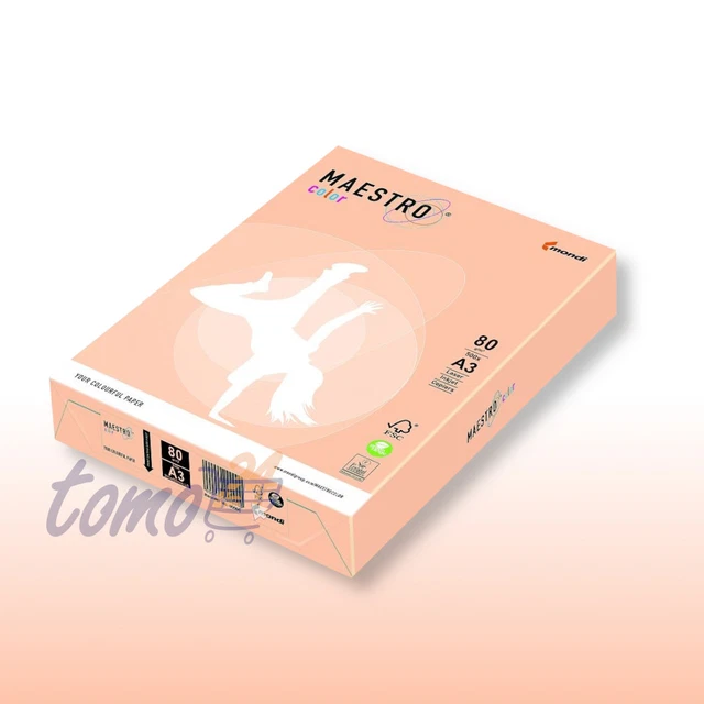 Maestro Color Lachs SA24 500 x A3 80g/m²