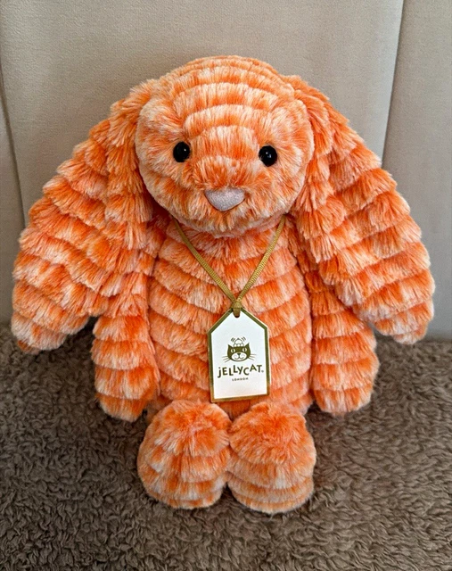 JELLYCAT BASHFUL FIZZLESKIP Bunny BNWT In Hand 50 00 PicClick UK JELLYCAT BASHFUL FIZZLESKIP Bunny BNWT In Hand 50 00 PicClick UK