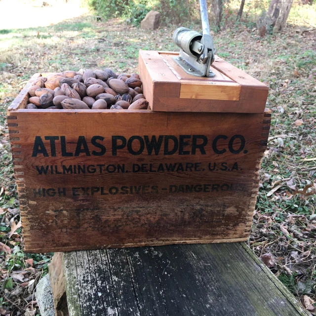 Fresh Missouri 2022 Crop Pecans  In A Vintage Atlas Powder Box With Cracker 2