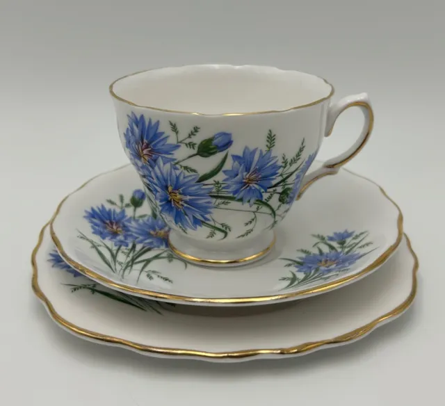 Royal Vale Vintage Blue Cornflower Fine Bone China Teacup, Saucer & Plate TRIO