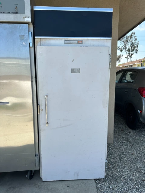 KELVINATOR One Solid Door Reach-In Freezer