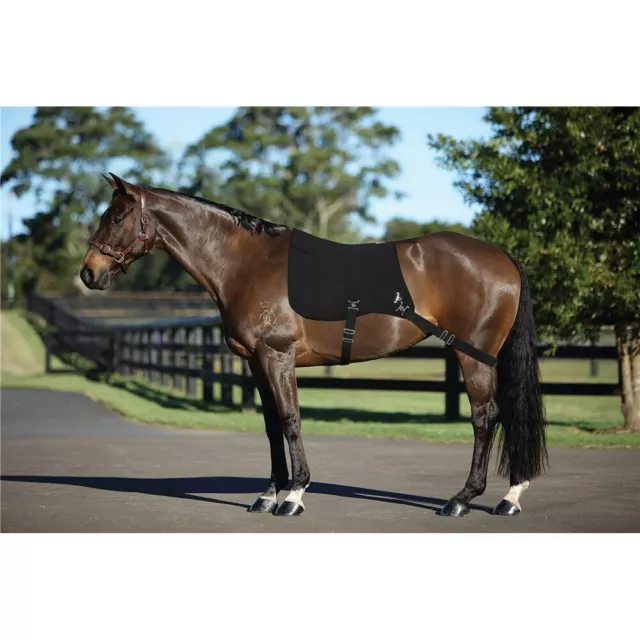 Showmaster Horse Core Master Resistance Muscle Training Pad