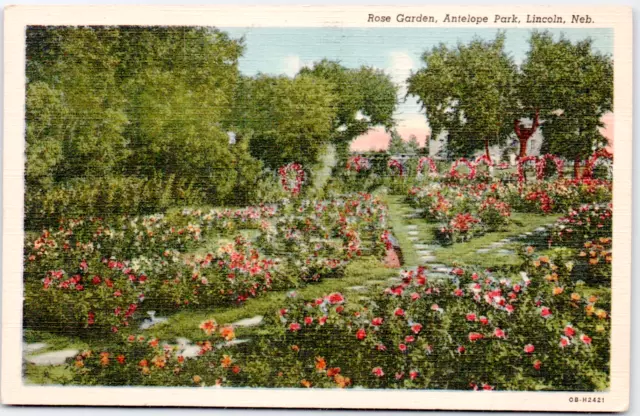 Lincoln Nebraska Antelope Park Rose Gardens Flower USA NE Vintage Postcard Linen