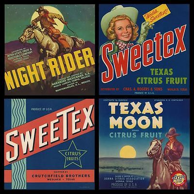 Lot Of 4 Old Original 1930-40 "Rio Grande Valley" Texas Citrus Crate Labels Art