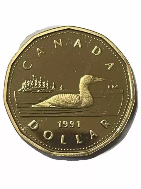 1991 CANADA 🇨🇦 $1 Dollar PROOF Coin Beautiful Loonie ~ Only 132K Minted