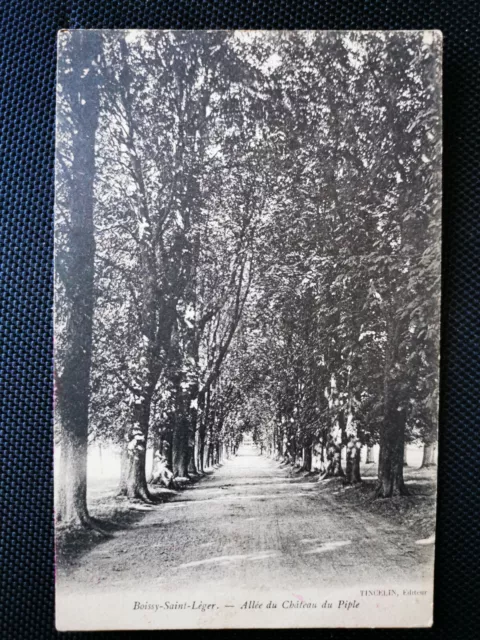 CPA 94 BOISSY-SAINT-LEGER - Allée du Château du Piple
