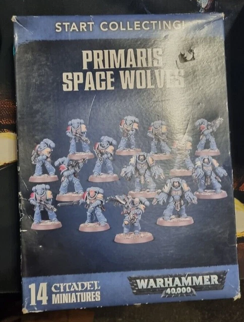 Feuilles De Transfert Space Wolves Warhammer 40K - Modèle 99510101103 - Occasion Assemblé Et Peint