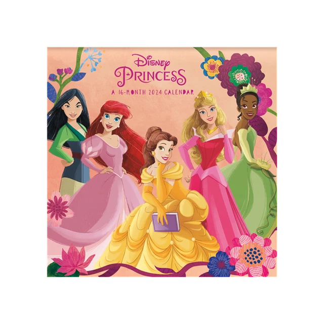 DISNEY PRINCESS 2024 Wall Calendar Brand New 244111 16.95 PicClick
