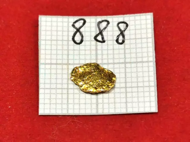 #888 Goldnugget Alaska Yukon Gold Nugget 0,345 Gramm Złoto Nuggets Gold Münze