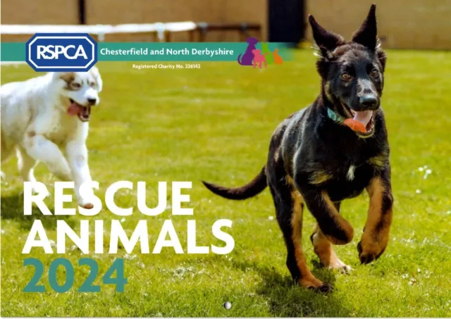 RSPCA 2024 A4 landscape wall charity calendar planner organiser month to view