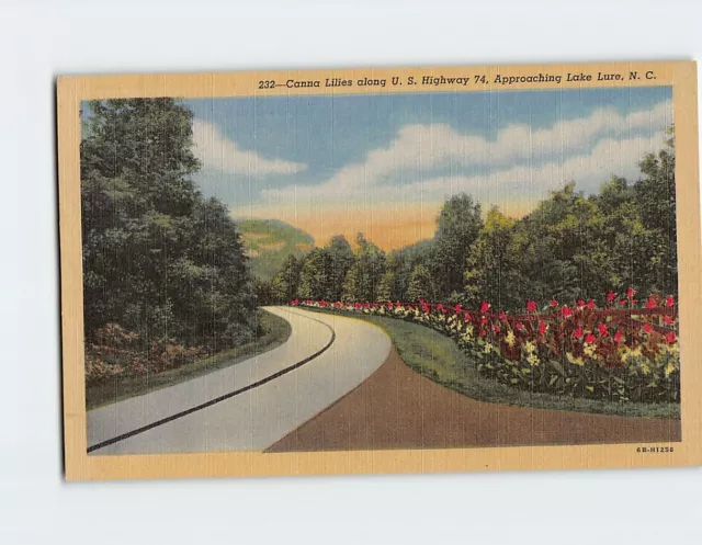 Postcard Canna Lilies Along US highway 74 Approaching Lake Lure North Carolina