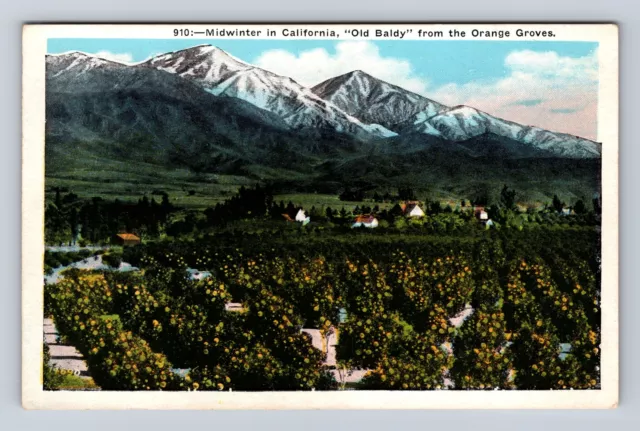 Los Angeles CA-California, Old Baldy From The Orange Groves, Vintage Postcard