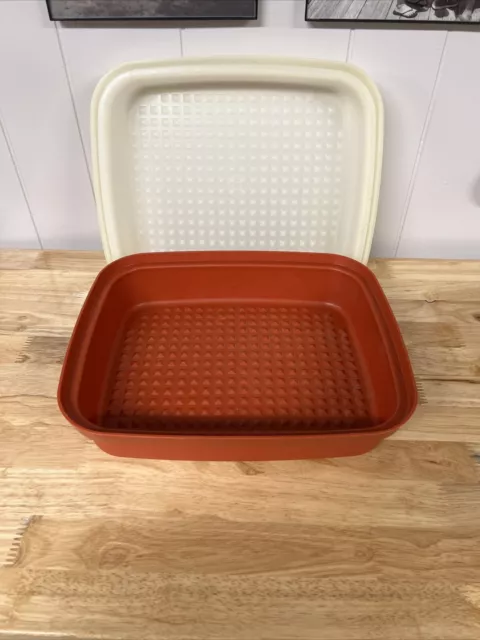 Paprika Red Season-serve Container by Tupperware Vintage Tupperware Marinating  Container Tupperware Marinate Retro Kitchen 