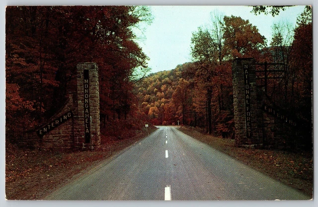 Elkins, West Virginia - View of Gateway to Wonderful Vacation - Vintage Postcard