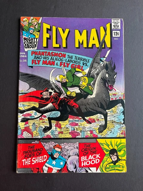 Fly Man #35 - Cover by Paul Reinman (1966, Archie) Fine