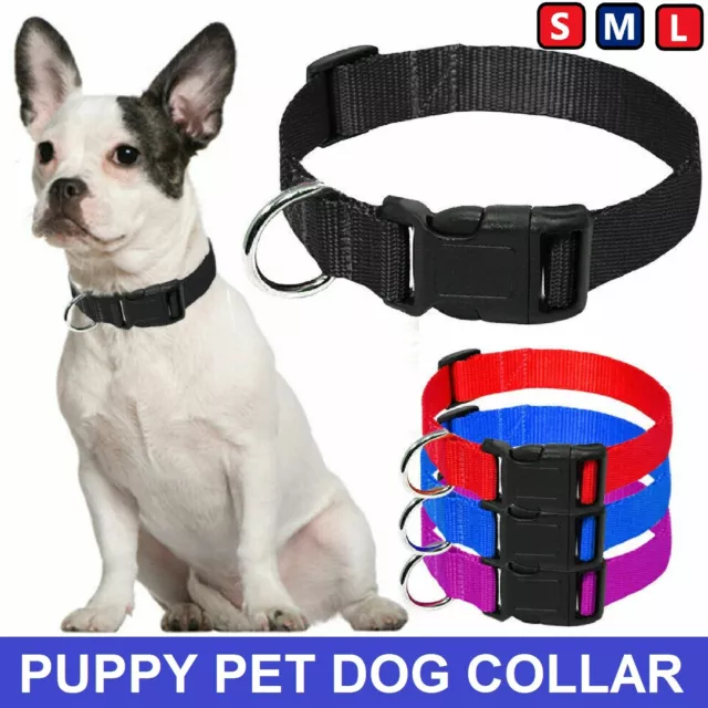 Pet Puppy Nylon Adjustable Dog Collars Neck Collar Buckle Strap Comfortable Belt