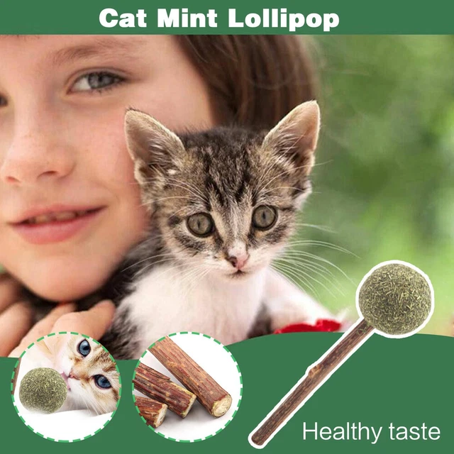 1 x snack per gatti sani caramelle zucchero erba gatta che leccano palla nutrizionale energia UK F4D3