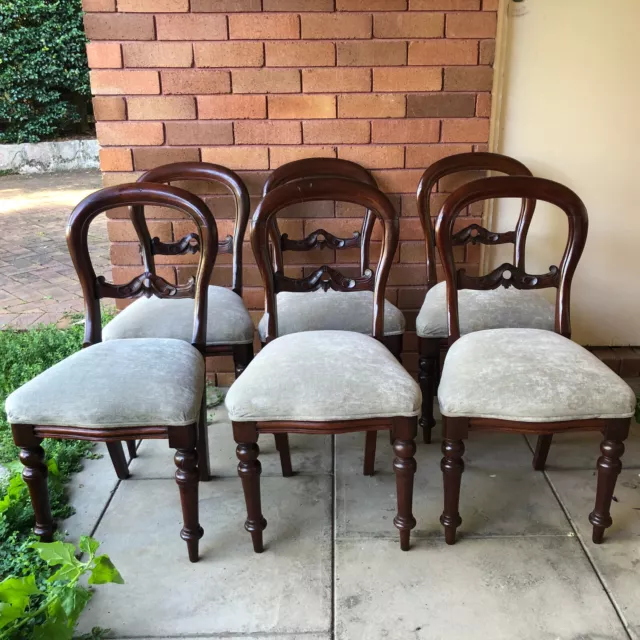 6 x Antique Victorian cedar balloon back dining chairs