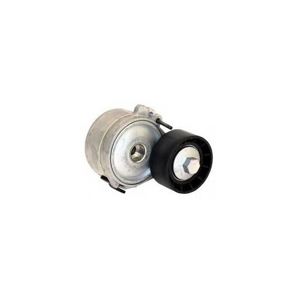 Galet tendeur : Citroen , Fiat , Peugeot ( moteur : 1.9D , 2.0D , 2.2HDI )BF-418