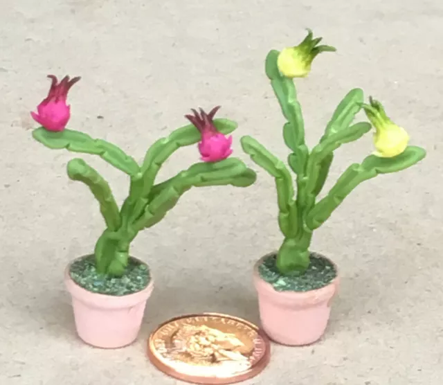 1:12 Scale Single Clay Cactus In A Pot Tumdee Dolls House Plant Garden T10