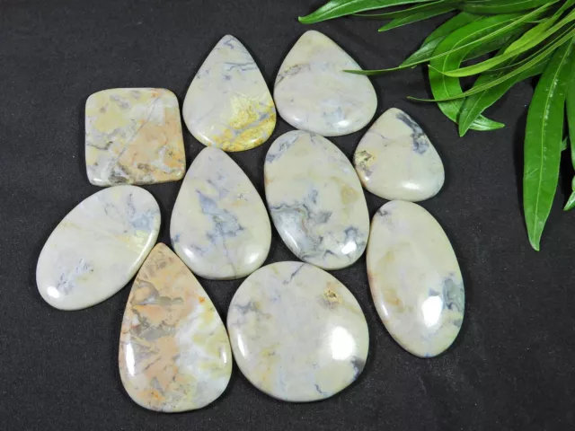 524Cts. Natural Coffee Bean Jasper Pear Cabochon Loose Gemstone 10 Pcs Lot