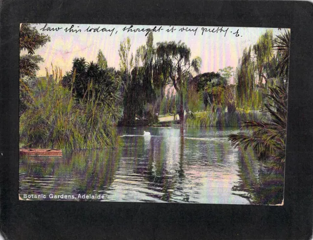 D4764 Australia SA Adelaide Botanic Gardens Pond pu1906 vintage postcard
