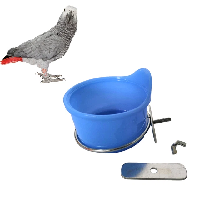 Parrot Drinking Bowl Parrot Feeder Accessories Cages Food Bowl 2